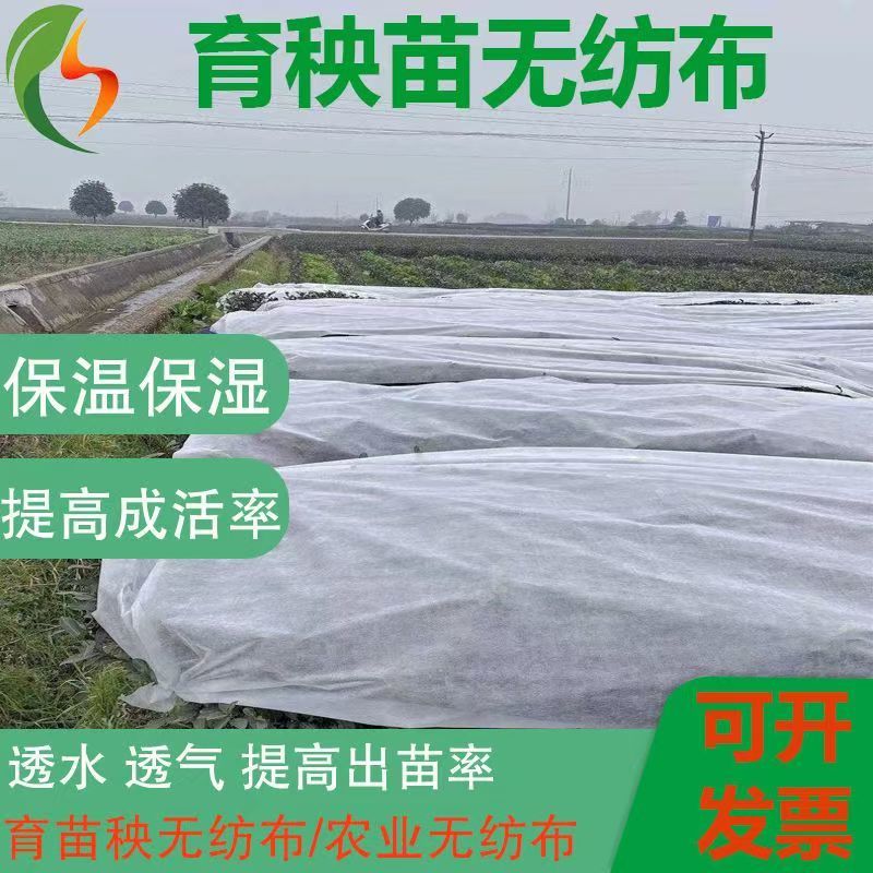 无纺布农用防寒保温无纺布育苗育秧无纺布果蔬瓜菜苗木药材无纺布