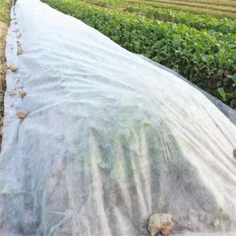 无纺布农用防寒保温无纺布育苗育秧无纺布果蔬瓜菜苗木药材无纺布