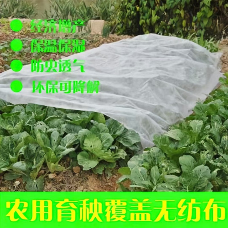 无纺布农用防寒保温无纺布育苗育秧无纺布果蔬瓜菜苗木药材无纺布