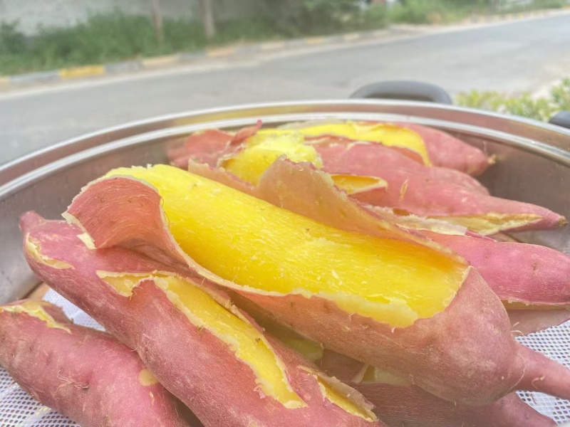 陕西临潼板栗红薯干面粉甜好吃