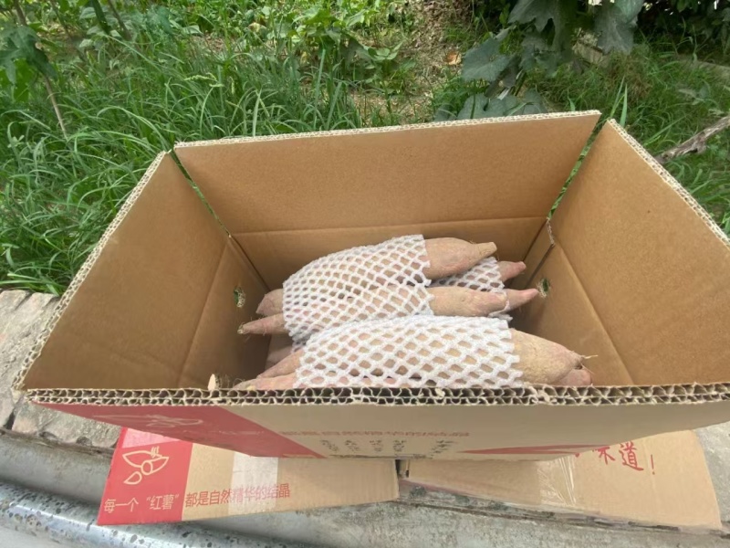 陕西临潼板栗红薯干面粉甜好吃