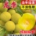 果园直发新品种龙李树苗六月成熟含糖23%包品种成活率高