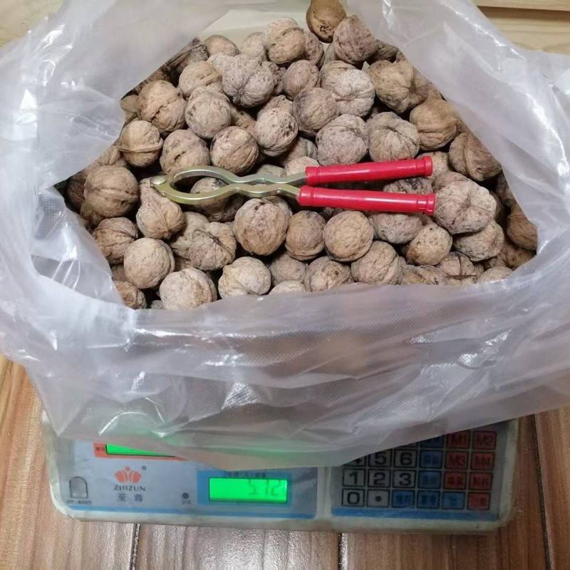 陕西老品种野生核桃不漂白自然生长油香