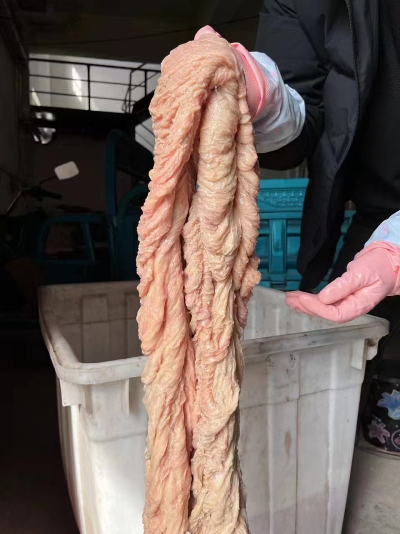 驴板肠