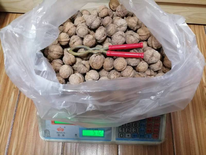 陕西老品种野生核桃不漂白自然生长油香