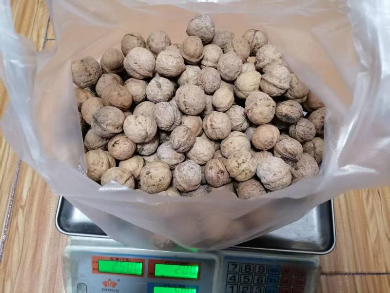 陕西老品种野生核桃不漂白自然生长油香