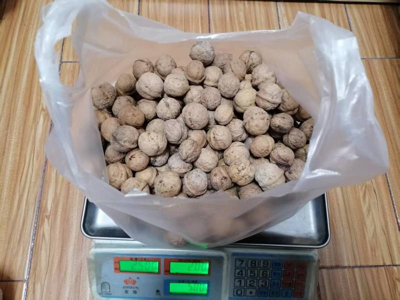 陕西老品种野生核桃不漂白自然生长油香