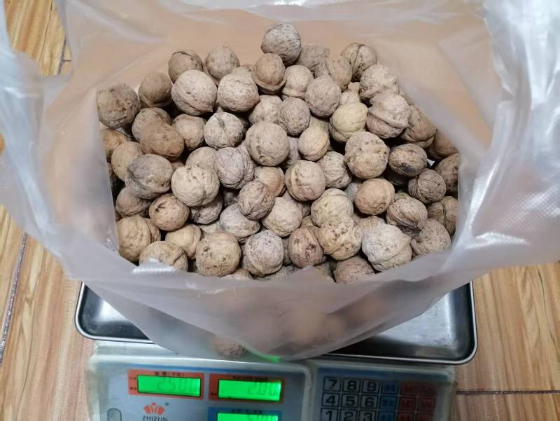 陕西老品种野生核桃不漂白自然生长油香
