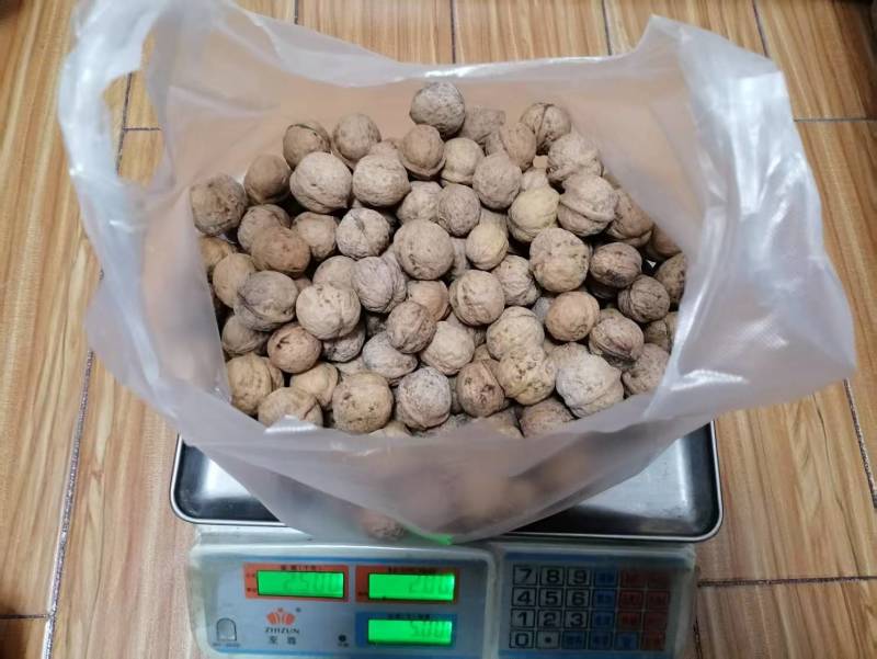 陕西老品种野生核桃不漂白自然生长油香