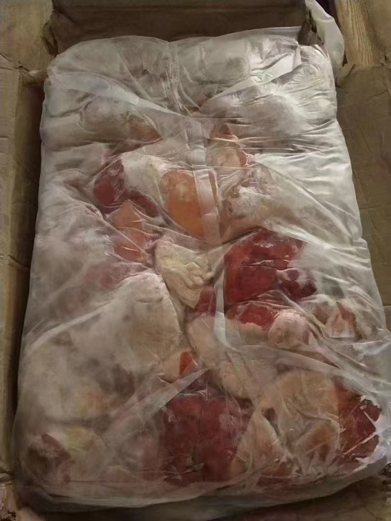 驴肚子
