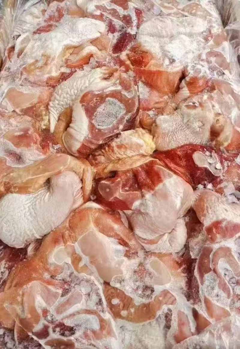 驴肚子