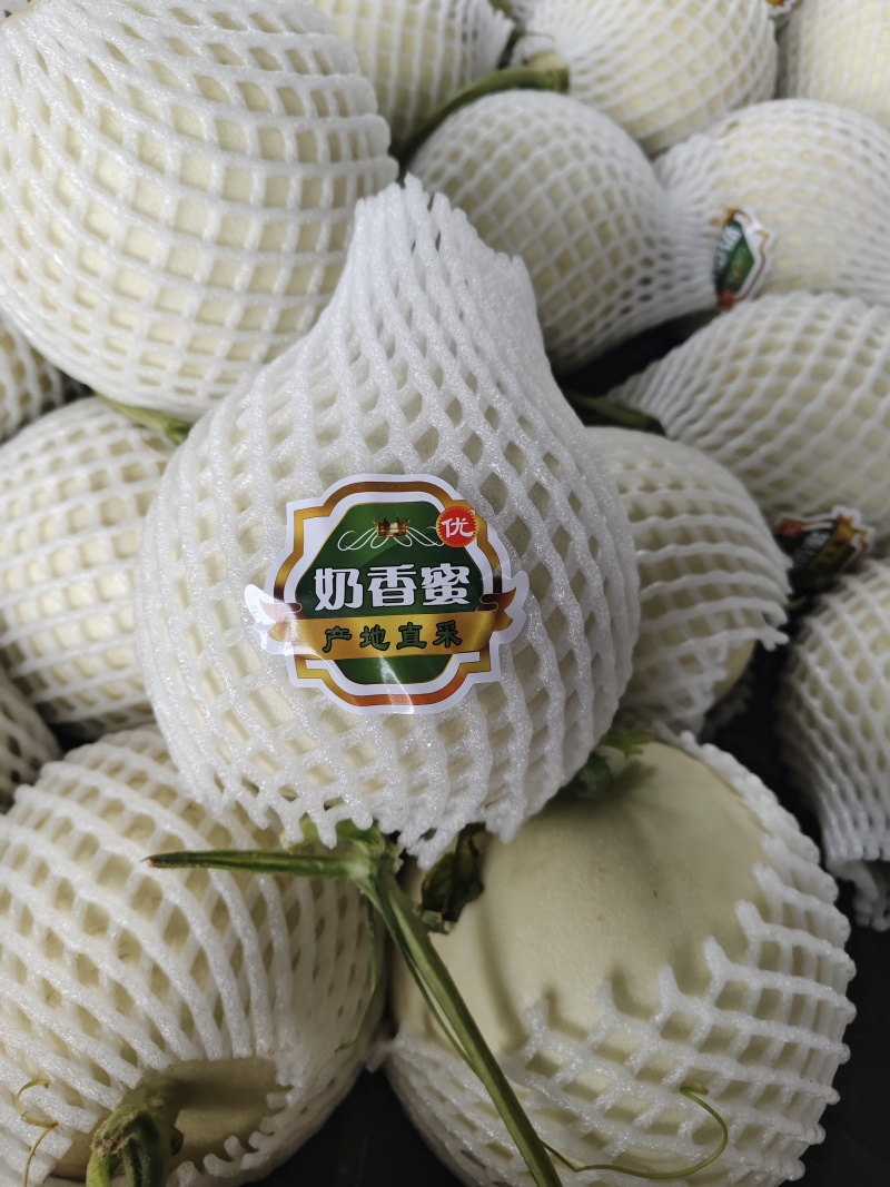 玉菇甜瓜一件代发对接电商直播社区团购档口商超