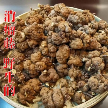 包邮)云南瑶族消留药材中药材瘤子整颗野生金丝猫爪九头狮子