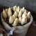 金玉兰菜、口味脆香甜富含多种维生素和矿物自产自销产地直发