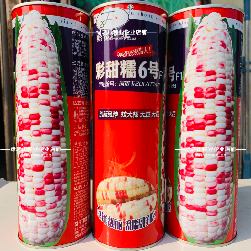 彩甜糯6号特大棒彩甜糯玉米种子加甜彩鲜食玉米种子基地专用