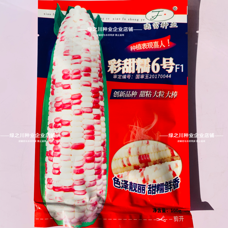 彩甜糯6号特大棒彩甜糯玉米种子加甜彩鲜食玉米种子基地专用