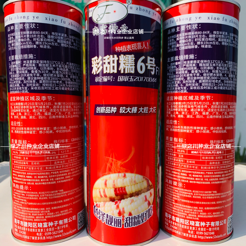 彩甜糯6号特大棒彩甜糯玉米种子加甜彩鲜食玉米种子基地专用