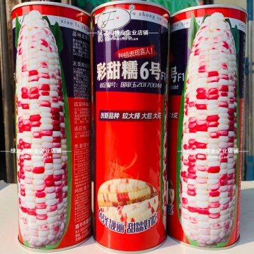 色泽靓丽甜糯好吃国审彩玉米种子彩甜糯6号玉米种子
