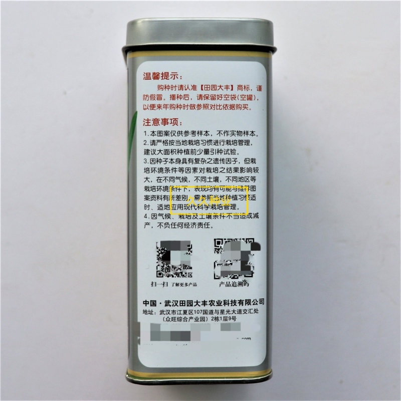 田园凤尾无斑甜脆香油麦菜种子大株型无斑甜脆无苦味好吃