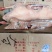 东北公鹅，纯公老鹅，大帮老鹅，去油肺公鹅