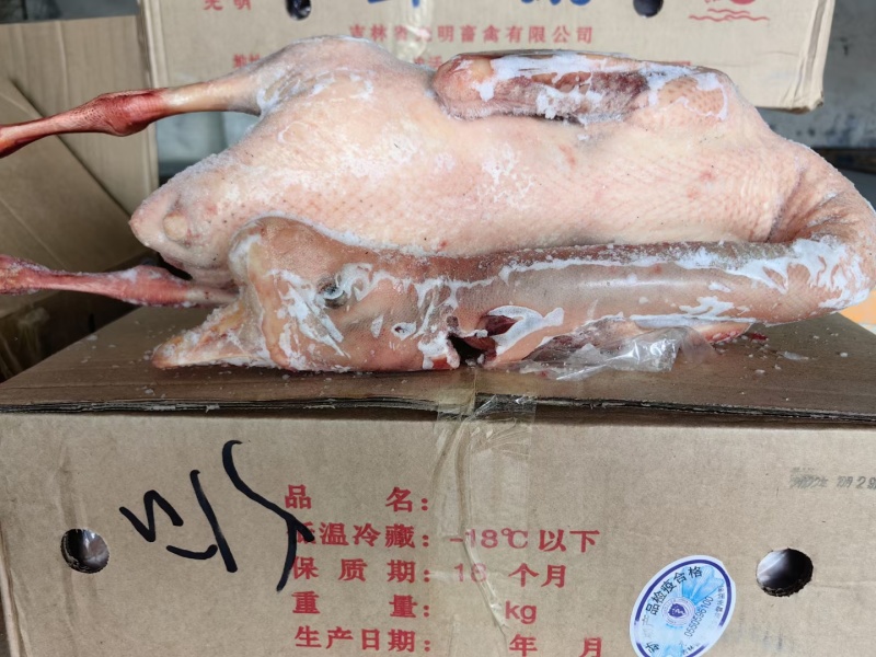 东北公鹅，纯公老鹅，大帮老鹅，去油肺公鹅