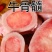 新鲜牛棒骨中断