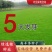 高羊茅种子草坪种子四季常青草坪种子耐寒免修剪耐践踏