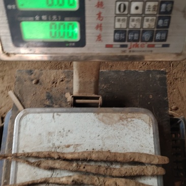 山药亩