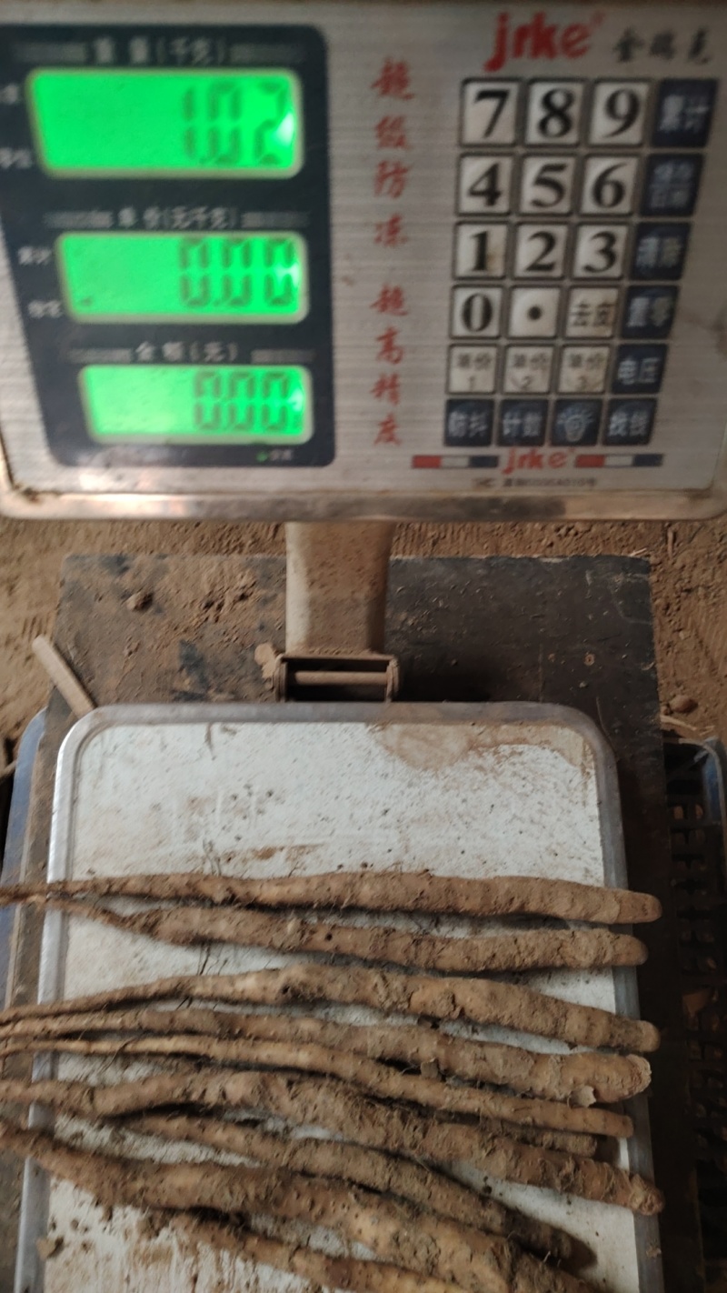 山药亩