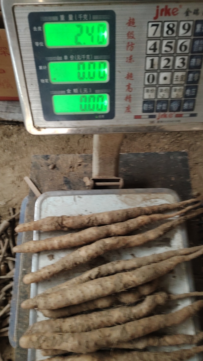 山药亩