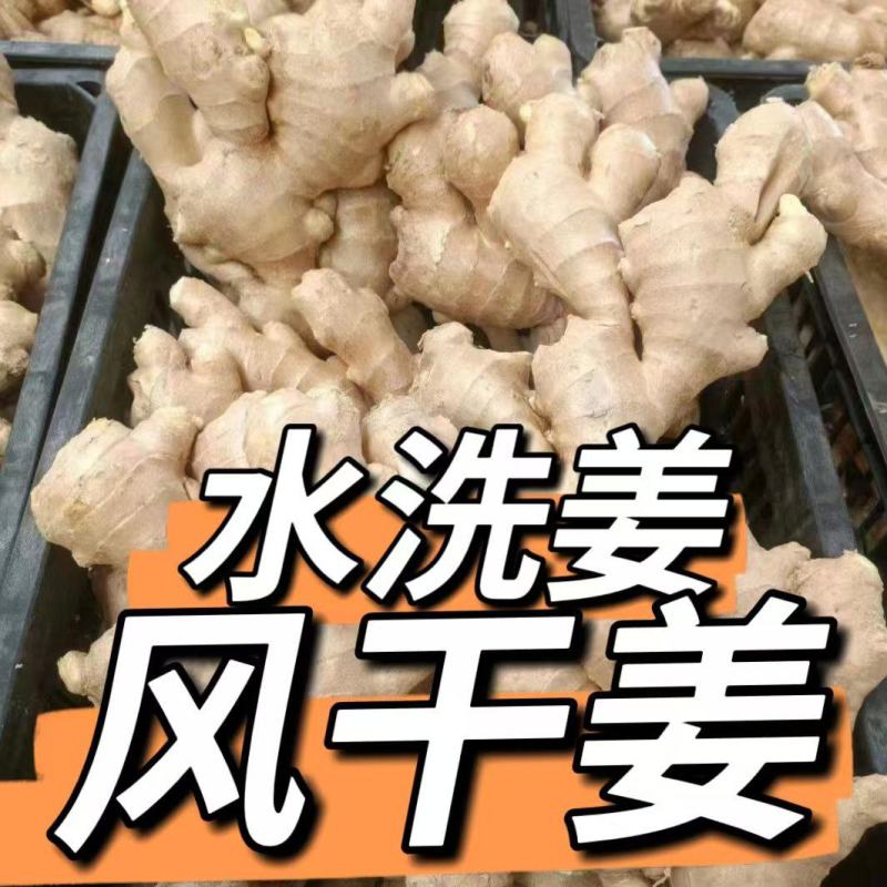 生姜老姜《郑重承诺\坏烂包赔》一手货源批发电商货市场货