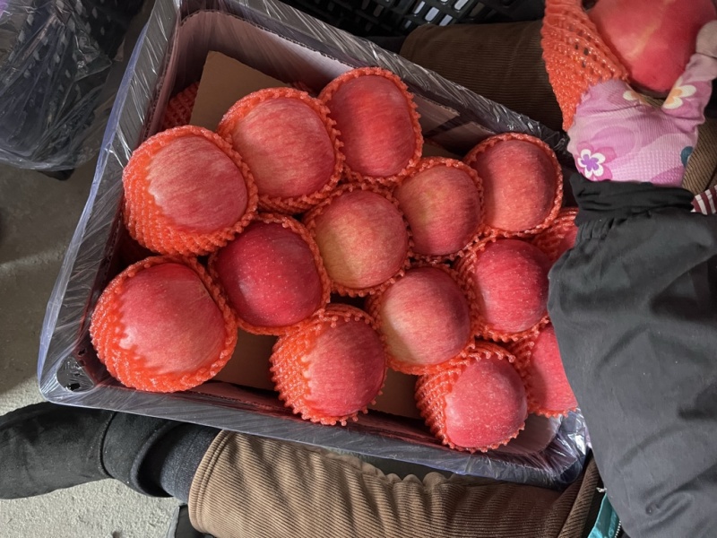 苹果大连瓦房店苹果红富士，苹果全红