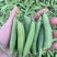 青豌豆豌豆长寿仁