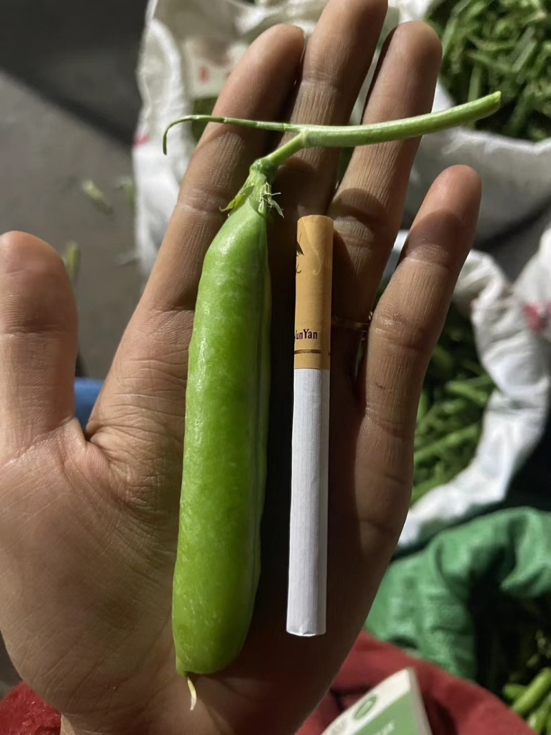 青豌豆豌豆长寿仁
