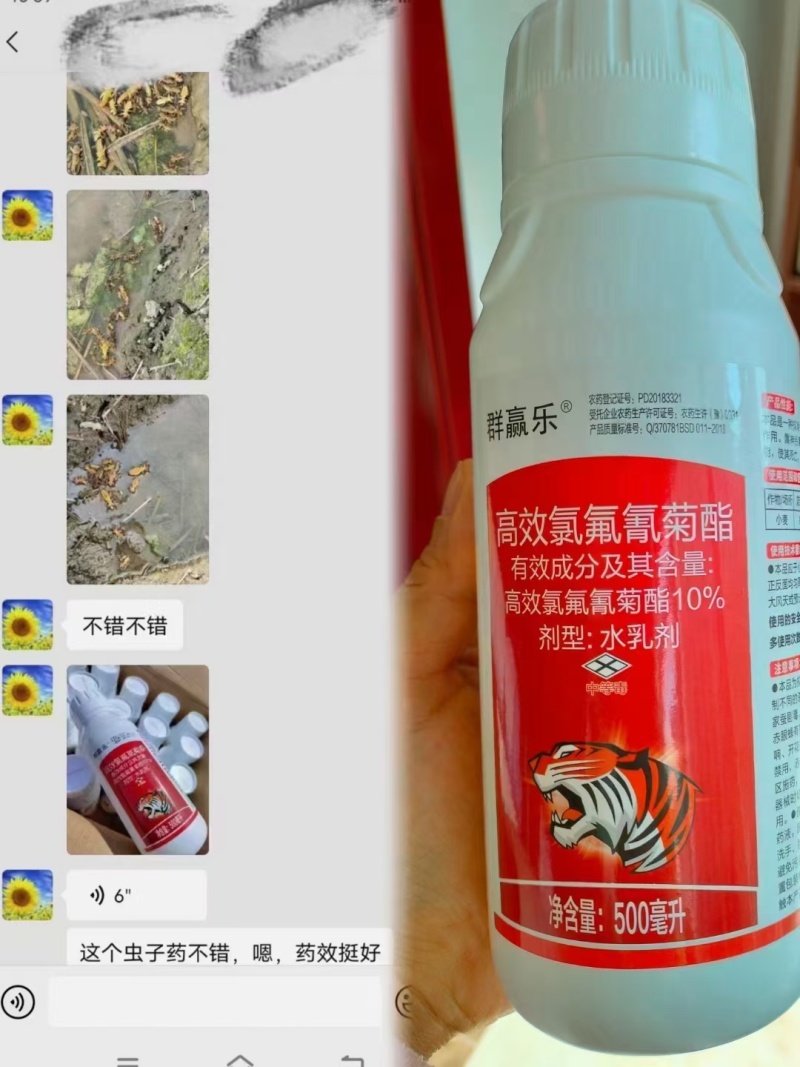 高效氯氟氰菊酯蚜虫菜青虫飞虱吸浆虫棉铃虫地下害虫正品保证