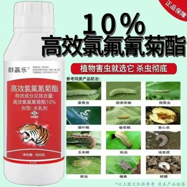 高效氯氟氰菊酯蚜虫菜青虫飞虱吸浆虫棉铃虫地下害虫正品保证