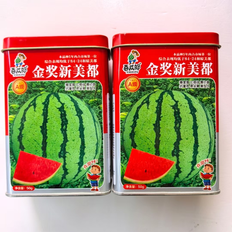 金奖美都西瓜种子原装正品大红瓤露天种植品种种子