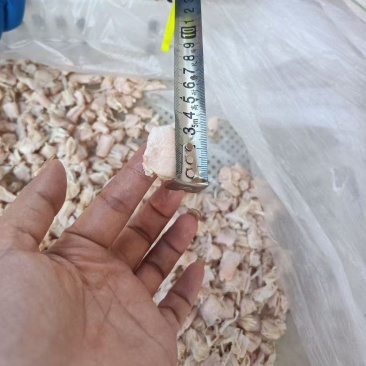 鸭脚筋5吨