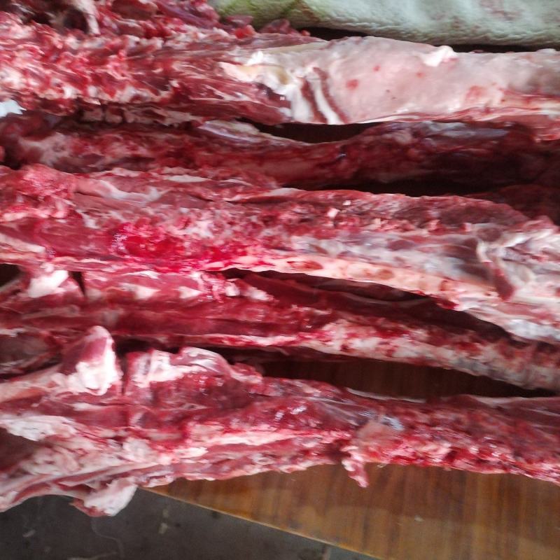 多肉羊脊骨