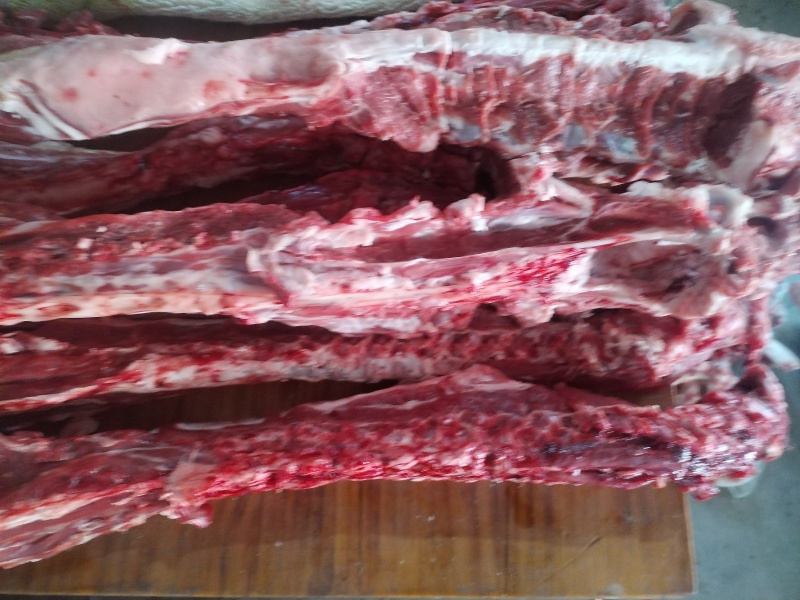 多肉羊脊骨
