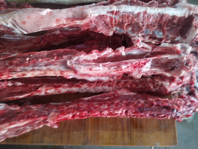 多肉羊脊骨