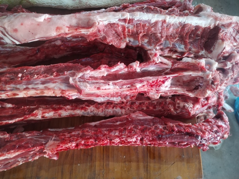 多肉羊脊骨