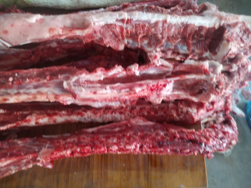 多肉羊脊骨