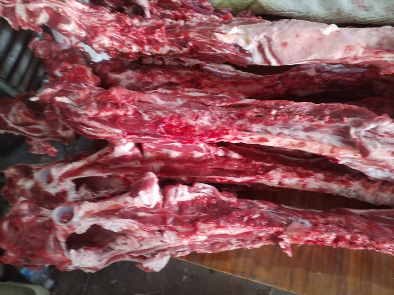 多肉羊脊骨