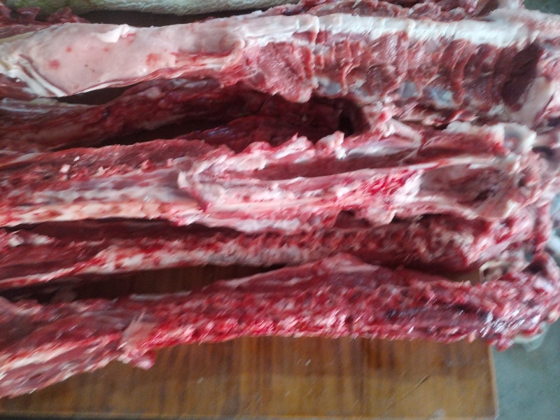 多肉羊脊骨