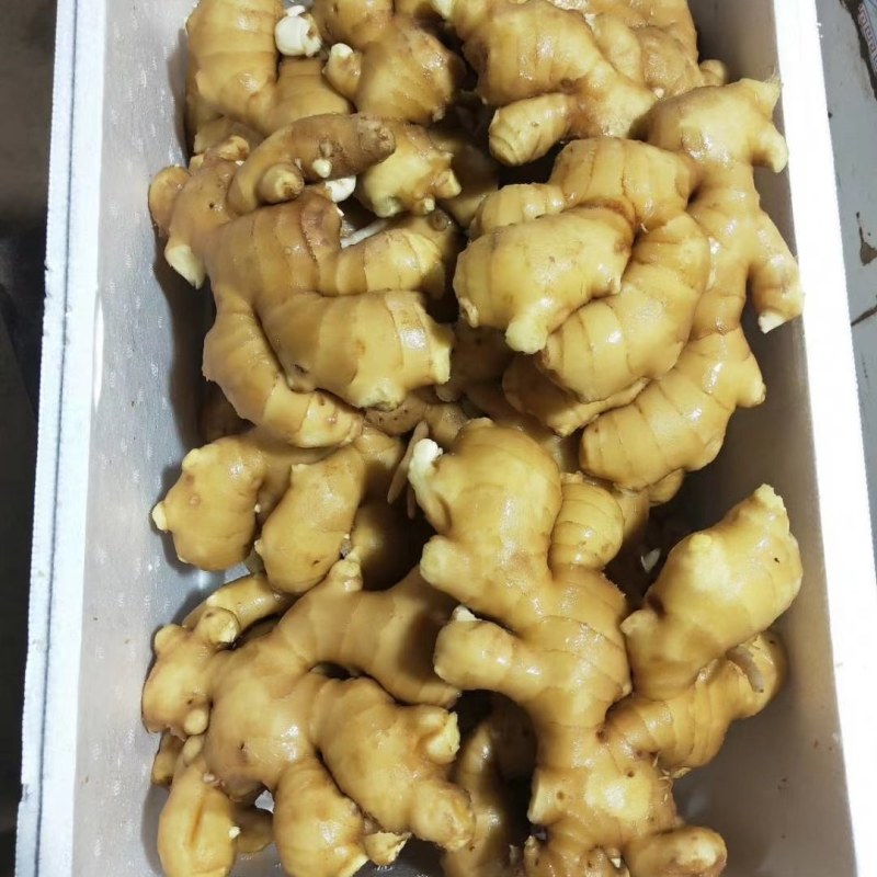精选大黄姜*小黄姜*产地常年大量供应*货源充足*品质保证