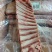 羊寸排，新鲜冷冻，优质纯干，品质保障，全国发货