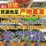 早春红玉，2K小吊瓜冰激淋西瓜牛奶吊瓜产地现货