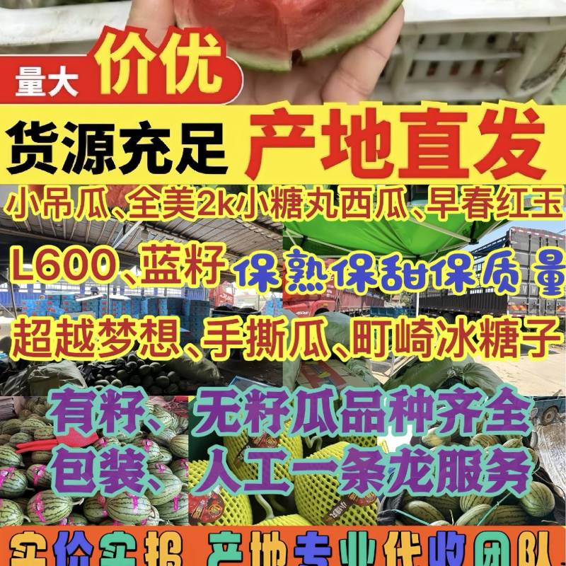 早春红玉，2K小吊瓜冰激淋西瓜牛奶吊瓜产地现货