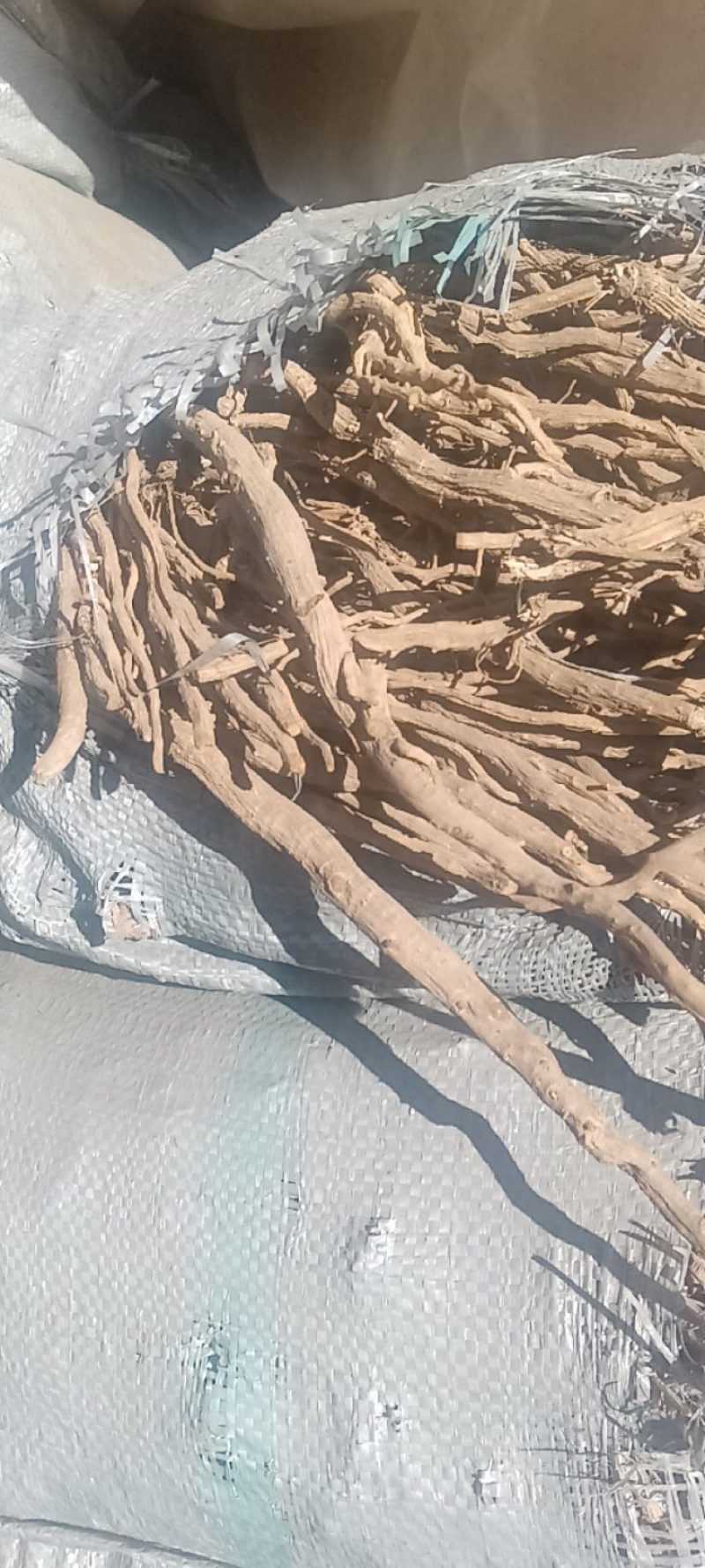 怀牛膝